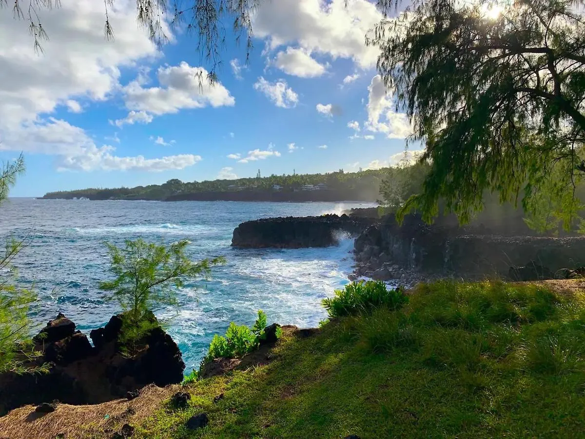 Appartamento Seaside House And Aloha Bungalow Pahoa